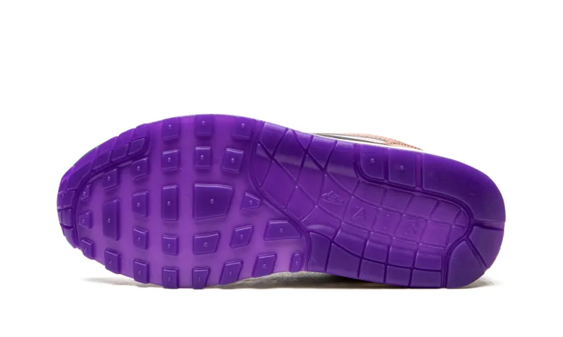 Nike Air Max AIR MAX 1 () WMNS 'Plum Fog Fossil Rose'